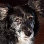 Bob Waters - @robert771waters - Instagram