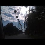 @bobwaters - Instagram