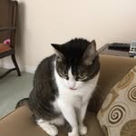 Bob Webber - @bobwebber_2 - Instagram