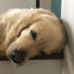 Bob Webber - @bobwebber12 - Instagram