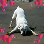 Bob Chrissie Weeks - @bob.weeks.376 - Instagram
