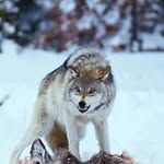 Bob Weeks - @weeks.bob - Instagram