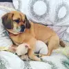 Bob_Werner_05 - @bob_werner_05 - TikTok