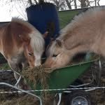 @bob_werner_ - Instagram