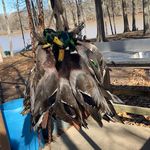 Bobby Whitaker - @b.whitaker07 - Instagram