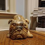 Bob Whitehead - @bob070869 - Instagram