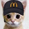 Oliviathewhitehead - @bobwhitehead77 - TikTok