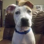 Bob Whitney - @rbrtwhtny - Instagram