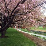 Bob Whitney - @5152bik - Instagram