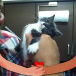 Bob Whitney - @les0455 - Instagram