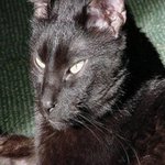 Bob Whitney - @bobwhitneyf53e - Instagram