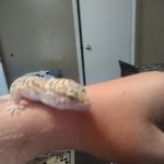 bob wick - @gecko_kid123 - Instagram