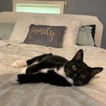 Bob Willson - @bobw_illson - Instagram