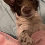 Bob Wilson - Facebook