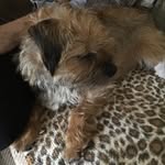 Bob Wynn - @wynnrobert45 - Instagram