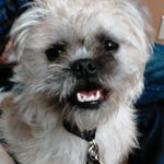 Bob Yeager - @smokeyjobob - Instagram