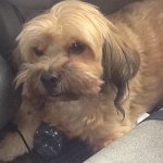 Bob Yeager - @grandpayeager - Instagram