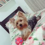 Bob York - @york_bob - Instagram