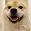 Bob Zhou - @user130409778 - TikTok