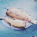 Boban Markovic - @markovic_055 - Instagram