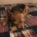 Bobbi Gray - Facebook