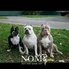 Bobbe Schmidt - @bobbe.schmidt - TikTok