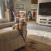 Bobbi Howard - Facebook