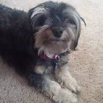 Bobbi Larson - @zachary.larson04 - Instagram