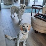 Roberta Bobbi Larson Saloga - @robertabobbilarson - Instagram