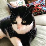 Bobbi - @bobbilivingnorth - Instagram