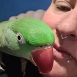 Bobbie Reeves - @bobbie.reeves1980 - Instagram