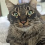 Bobbi Teague - @bobcat1069 - Instagram