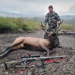 Bobbi Thompson - @bobcatthompson - Instagram