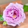 Handmade by you ! - @bobbithompson55 - TikTok