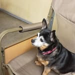 Bobbi K Ware - @bobbi.ware.332 - Instagram