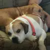 Bobbi Ware - @bobbi.ware7 - TikTok