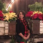 Bobbie Bailey - @bobbiebailey1948 - Instagram