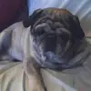 bobbie ballard - @bobbie.ballard1 - TikTok
