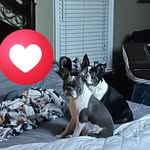 Bobbie Ballard Knight - @ballardknight16 - Instagram
