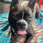 Bobbie Barker - @thebobbiebarker - Instagram