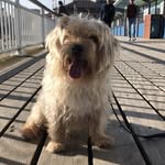 Bobbie Barker - @bobbieb3rker - Instagram