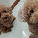 Bobby & Barry - @bob.barry - Instagram