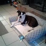 bobby barry - @barry.bobby - Instagram