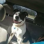 Bobby Barry - @bobby.barry.566 - Instagram
