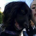 bobbie - @bobbie_blackhall - Instagram