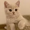 Boobie - @bobbieboboo - TikTok