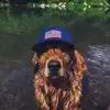 Bobby Cole - @bobby.cole3 - TikTok
