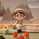 Bob - @bobbiecrossing - Instagram