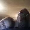 Bobby Decker - @bobby.decker8 - TikTok