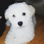 Bobbie Doyle Scanlon - @bobbiedoylescanlon - Instagram